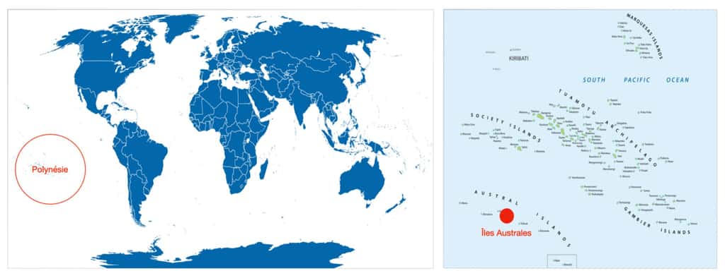 Carte du monde © Peter Hermes Furian | carte de la Polynésie © Lesniewski, Adobe stock